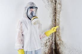 Best Residential Mold Inspection & Testing  in Elizabeth Lake, CA